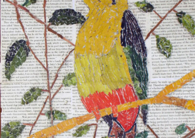 Esethu Yellow Bird